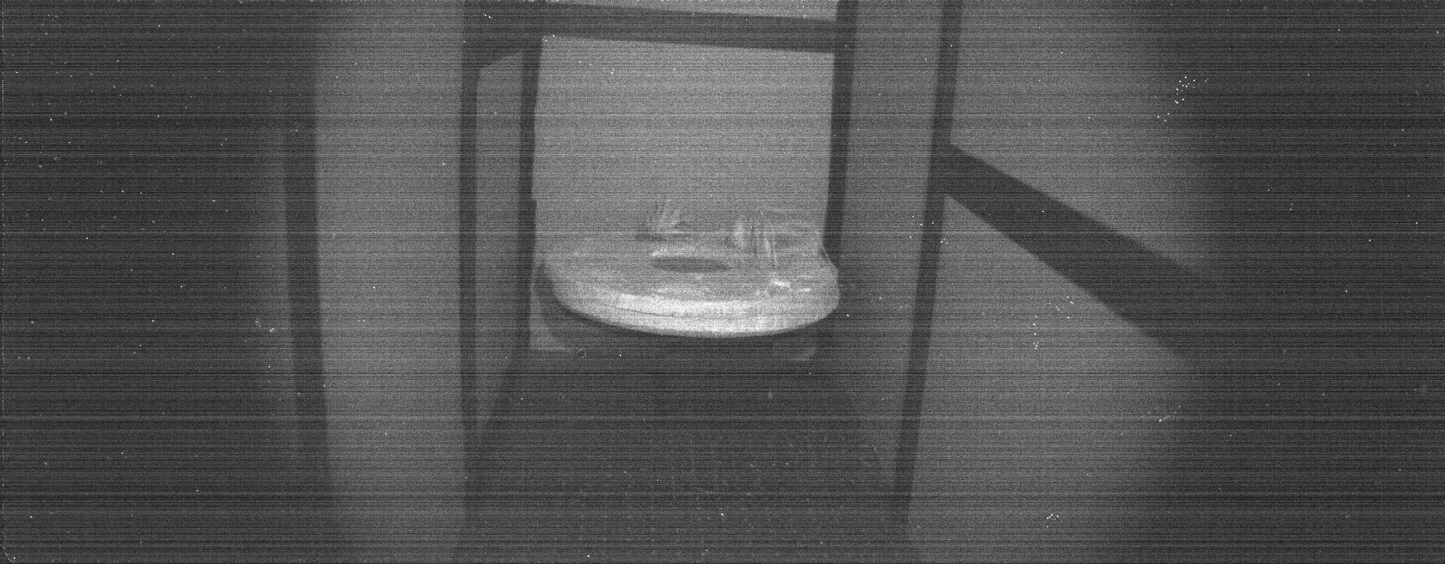 Dataset capture at illumination level n3