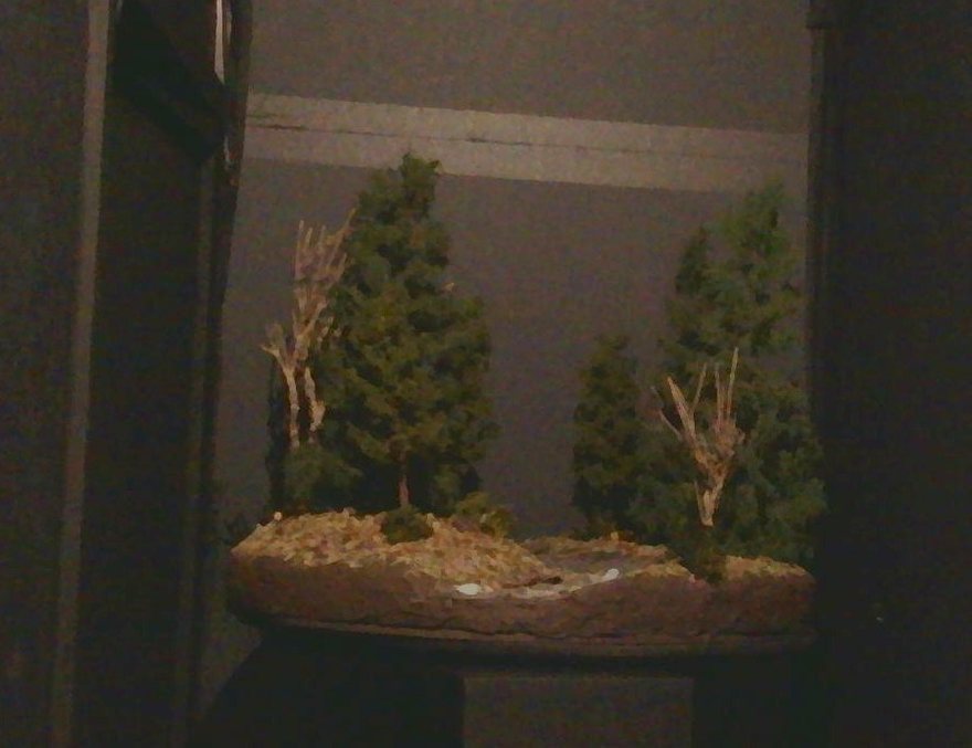 Colour (RGB) capture of the forest scene under night illumination