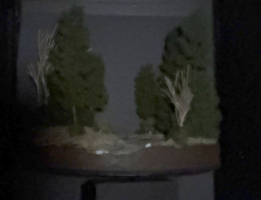 Colour (RGB) capture of the forest scene at a very low illumination level