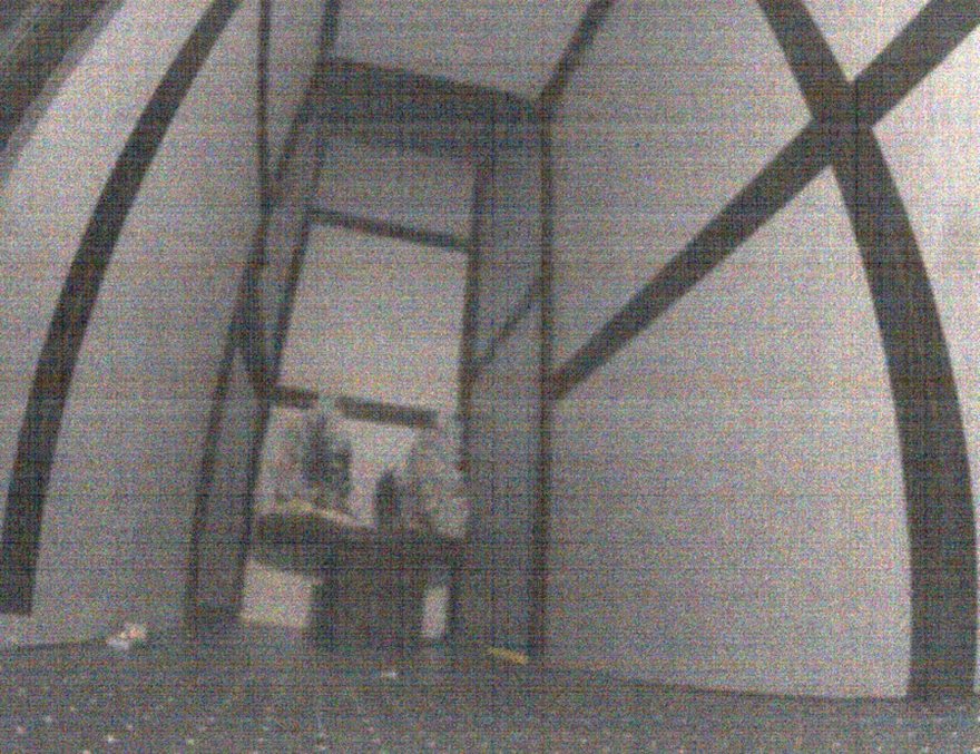 Wide-field colour (RGB) capture inside the dark box